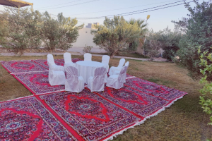 WhatsApp-Image-2025-07-22-at-22.13.40_f2d304c8